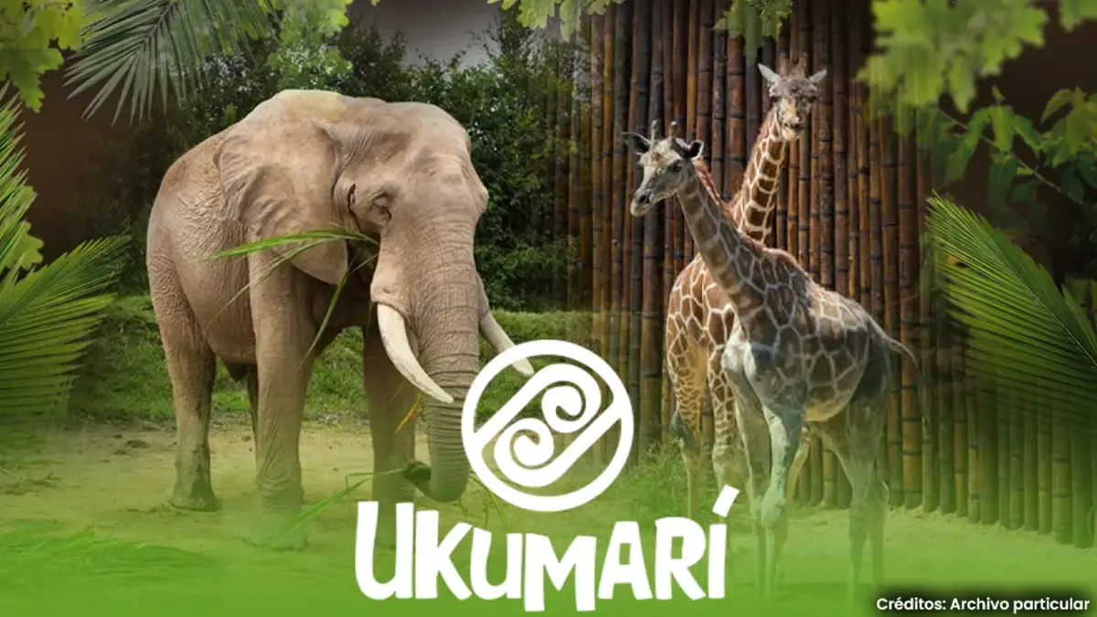 Bioparque Ukumarí en Pereira, Risaralda